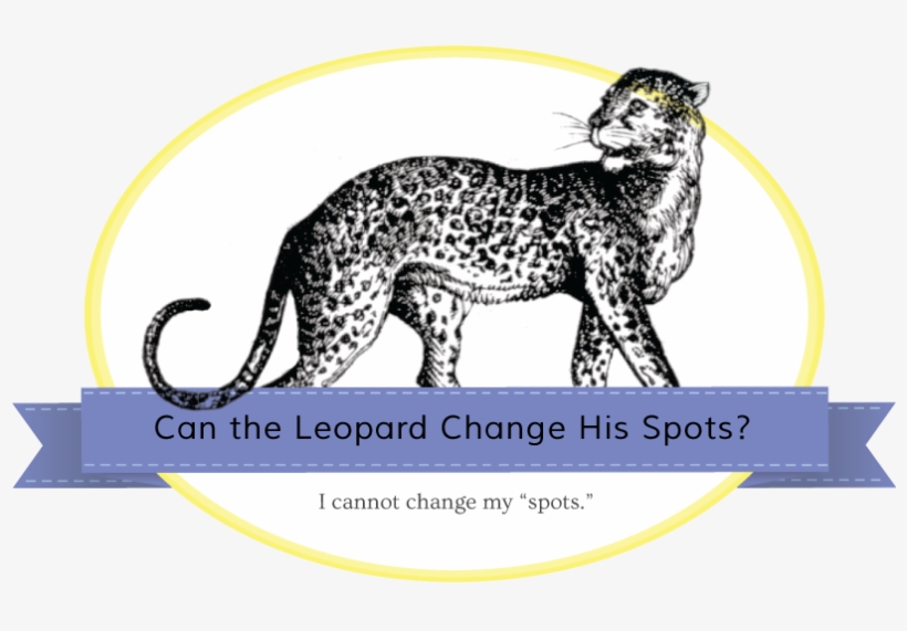 Jaguar-banner - Leopard, transparent png #3870793