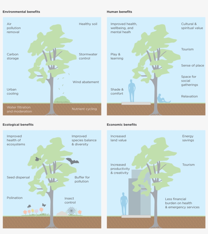 Ecology, transparent png #3870820