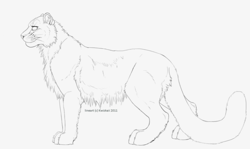 Leopard Lineart - Line Art, transparent png #3871004