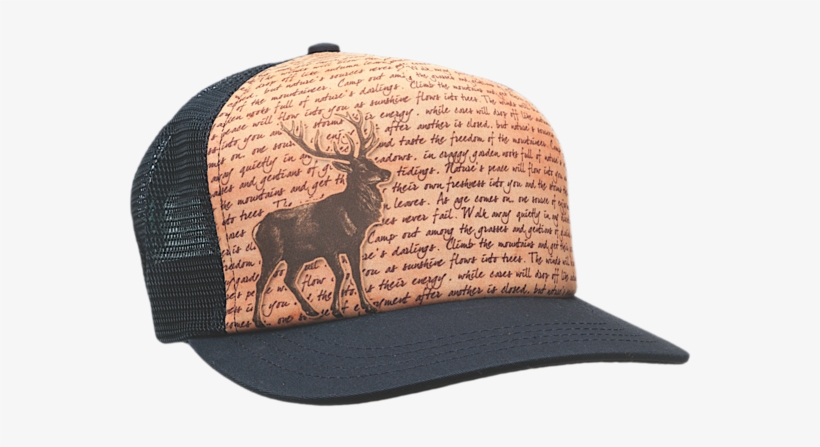 Size - Ambler - Muir - Xx - Black, transparent png #3871069