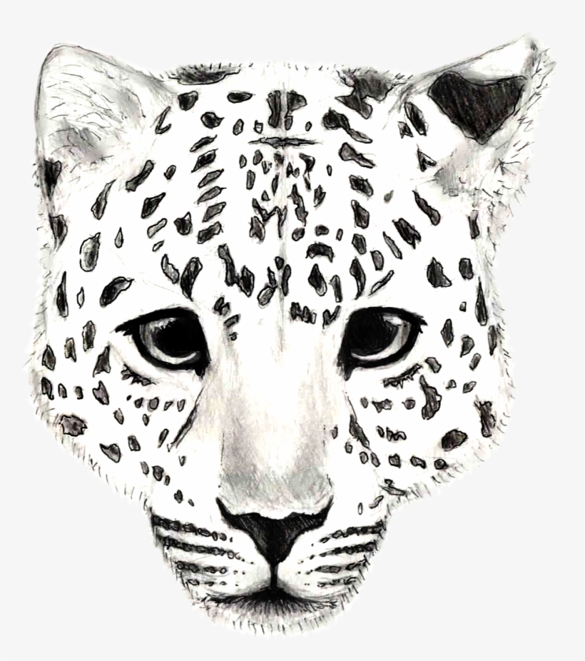 Final Major Project - Drawing, transparent png #3871213