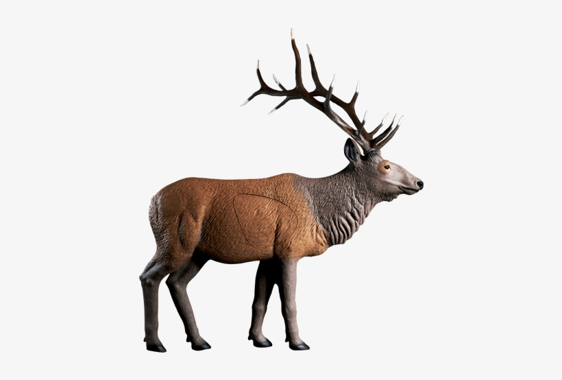 Embroidered Hat - 3d Archery Targets, transparent png #3871359