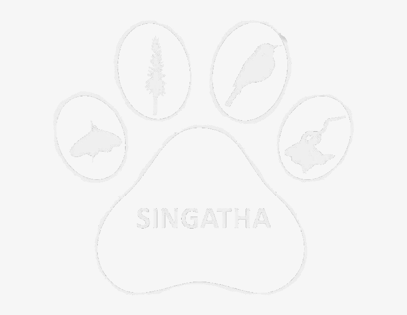 Singatha Crf - Singatha, transparent png #3871427