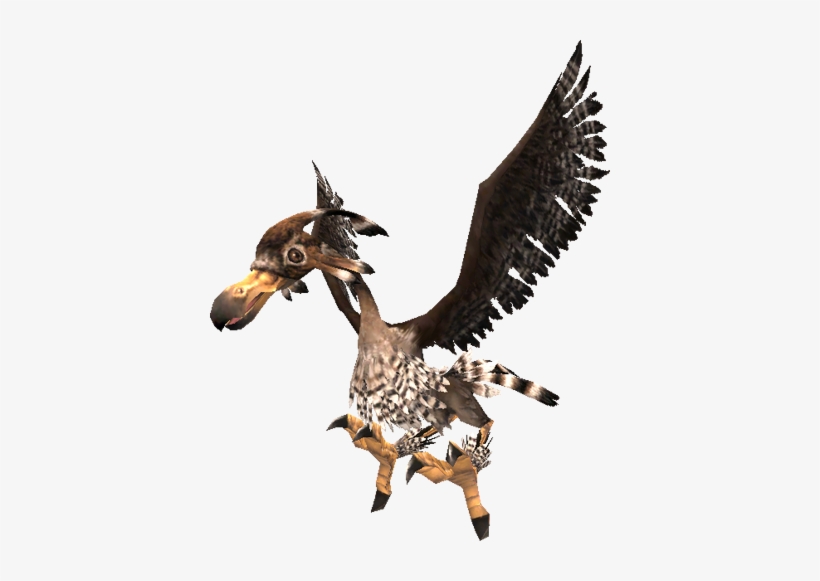 Bird 2 - Bird Monster Png, transparent png #3871571