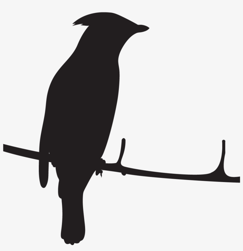 Cedar Waxwing - Cedar Waxwing Silhouette, transparent png #3871600