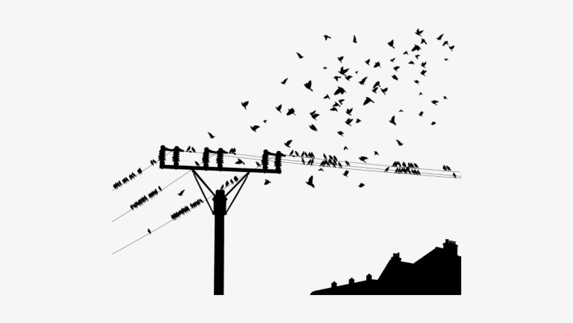 Birds,the Flight Of Birds,pole,current,power Supplies,strommast, - Desenho De Passaros Nos Fios, transparent png #3871733
