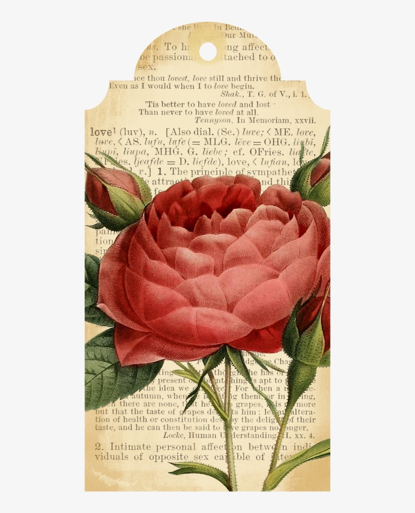Free Vintage Flower Printables | Best Flower Site