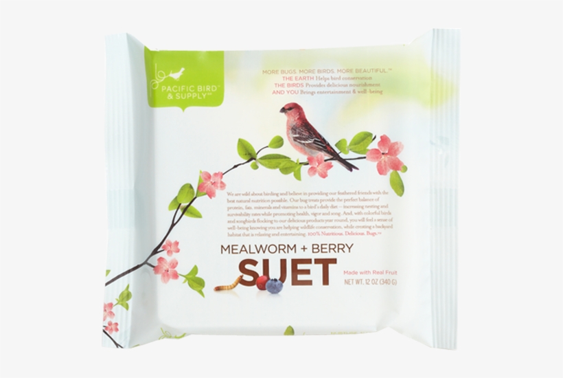 Berry Suet-web, transparent png #3872133