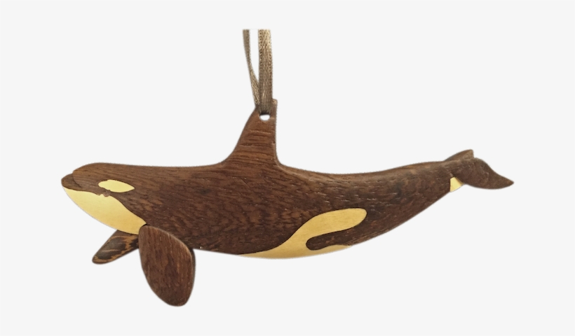 Orca Whale Wood Ornament - Killer Whale, transparent png #3872465