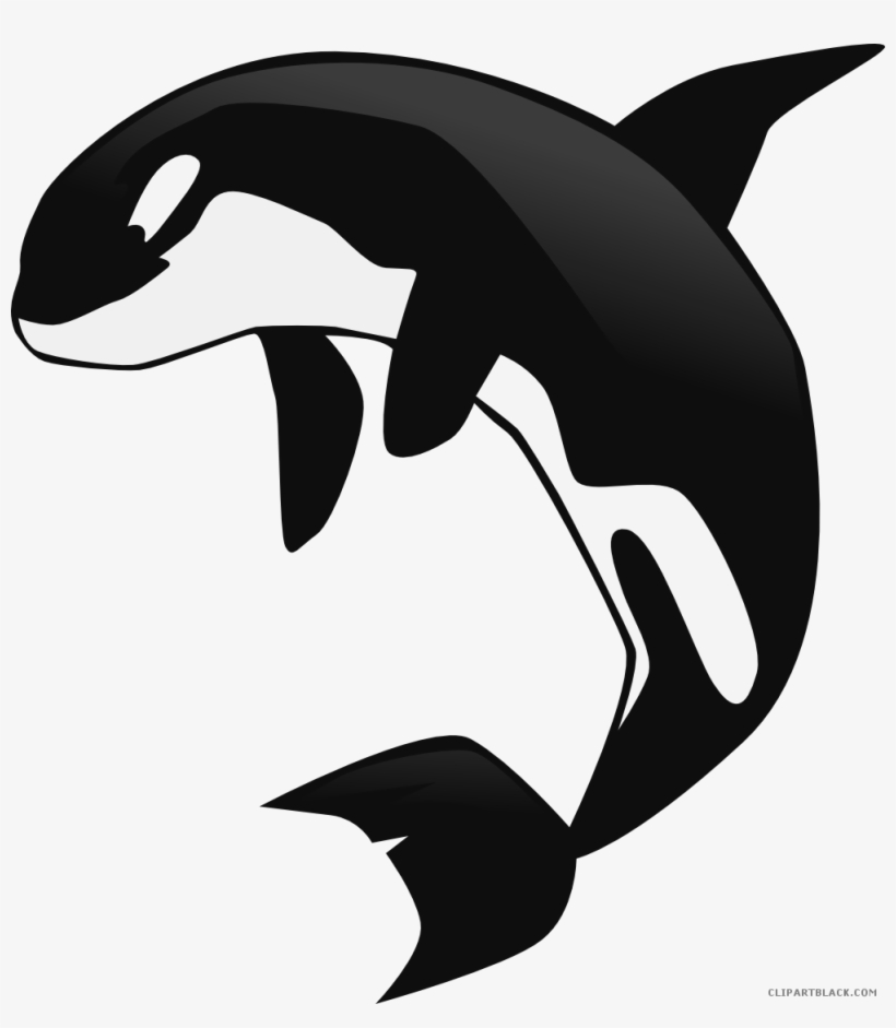 Orca Whale Clipart - Whale Clipart Transparent Background, transparent png #3872550