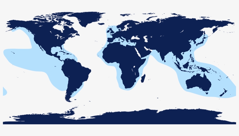 False Killer Whale Range - Pacific White Sided Dolphin Range, transparent png #3873052