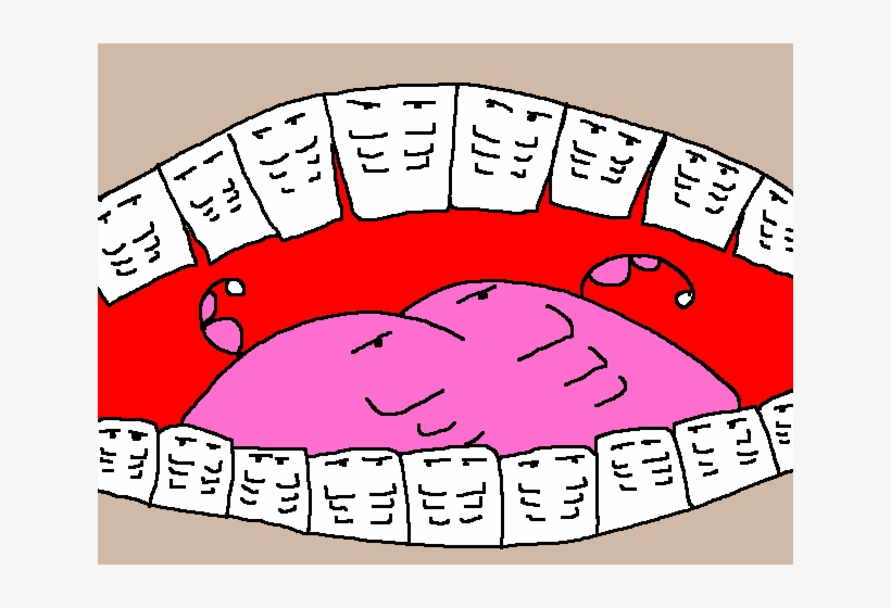 Bicuspid Six-pack, transparent png #3873603