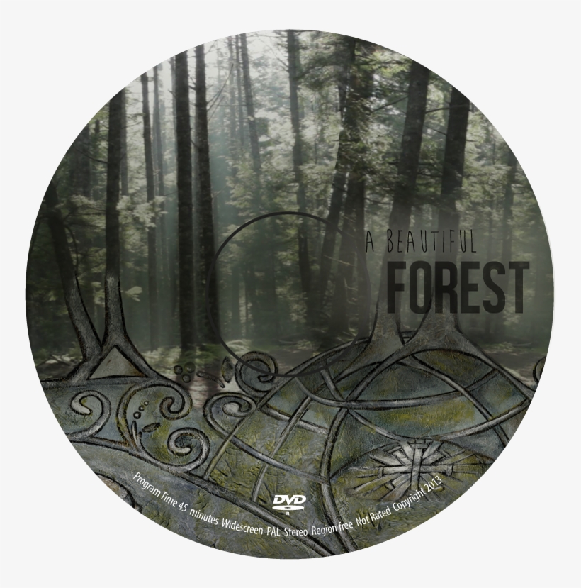 Cd Cover A Beautiful Forest - Circle, transparent png #3876078