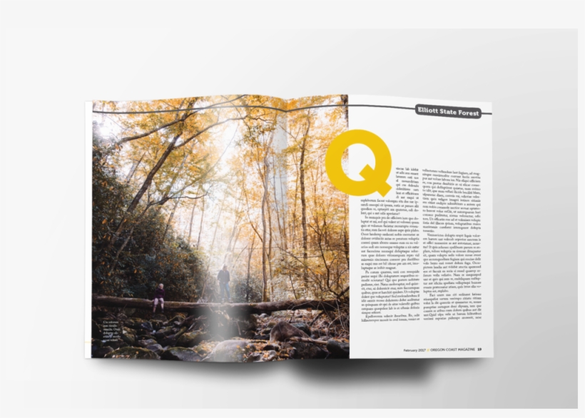 State Forest - Forest, transparent png #3876166