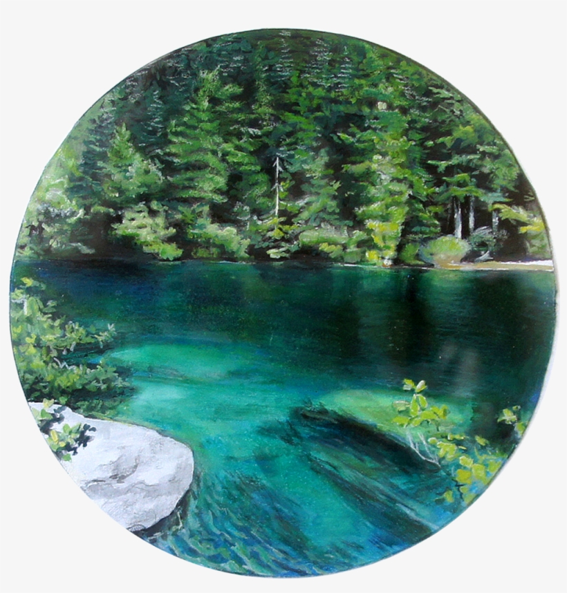 Forest, transparent png #3876372