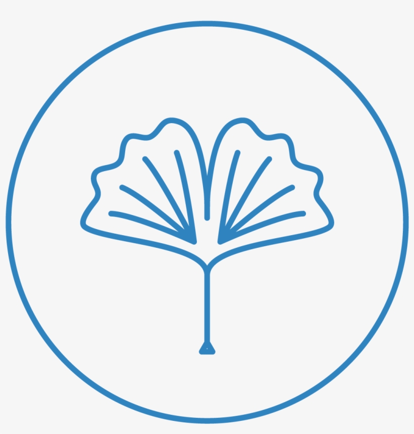 Ancient Forest - Circle, transparent png #3876602