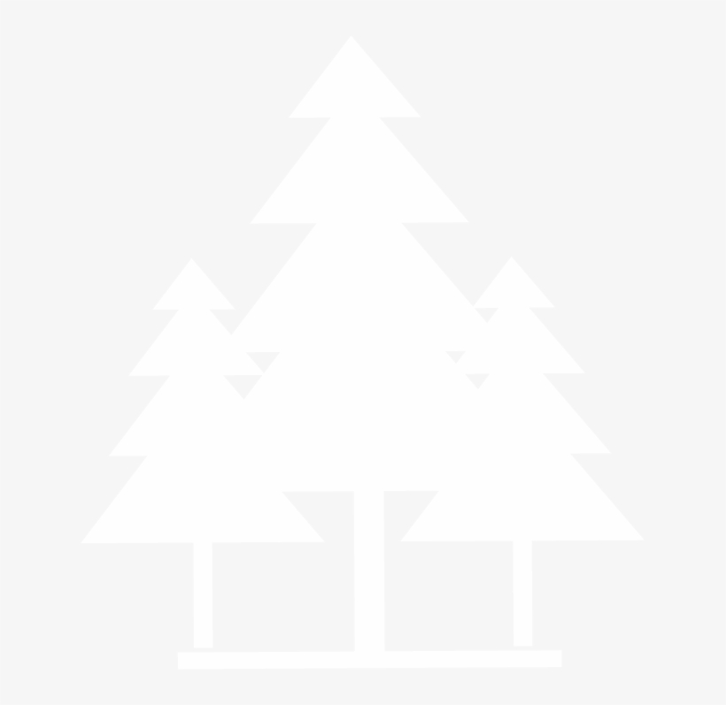 Christmas Tree, transparent png #3876756