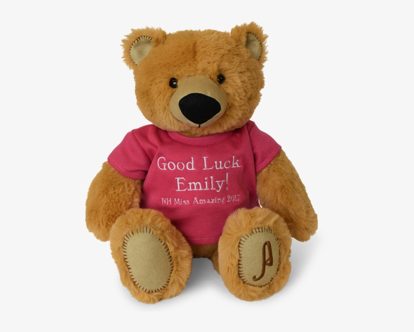 15in Emily's Bear - Teddy Bear, transparent png #3876838