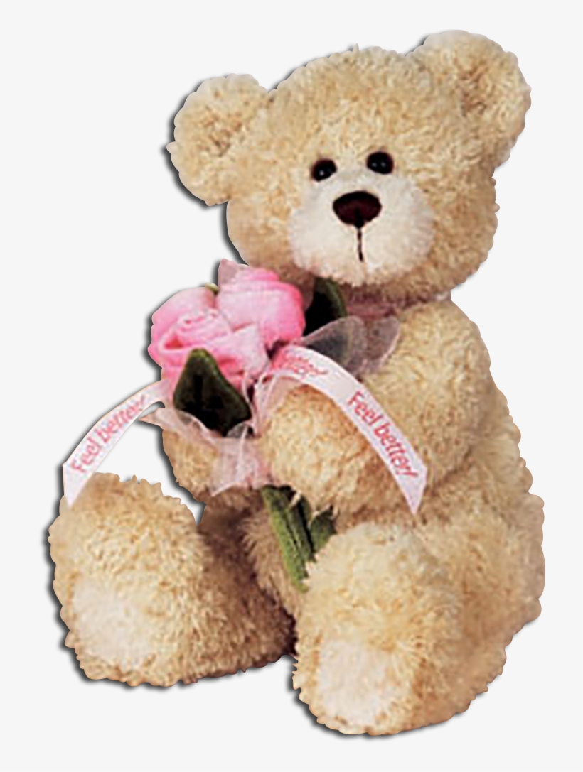 Gund Feel Better Teddy Bear With Pink Roses - Teddy Bear Feel Better, transparent png #3876906
