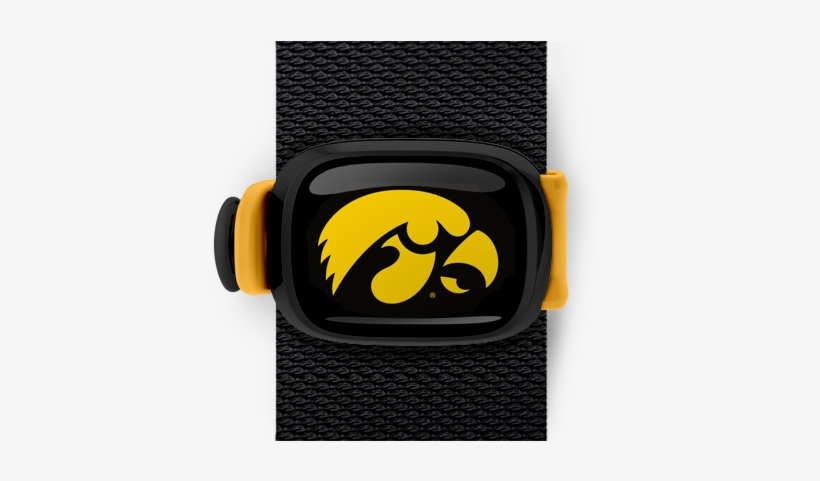 Iowa Hawkeyes Stwrap - Ncaa Iowa Hawkeyes Car Flag Hawk Logo, transparent png #3876954