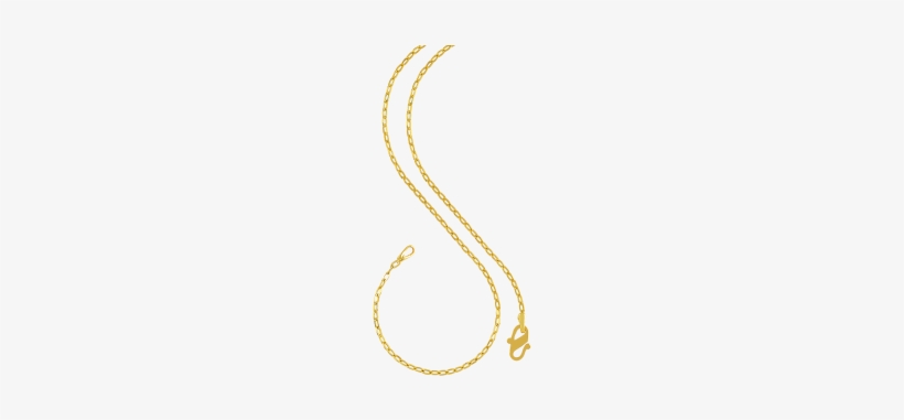 Orra Gold Chain - Orra Jewellery, transparent png #3877841