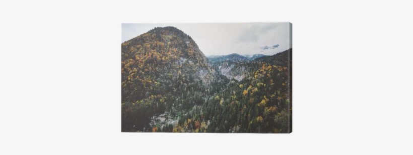 Mountains And Forest Landscape Aerial View Trees Background - Landscape, transparent png #3877955