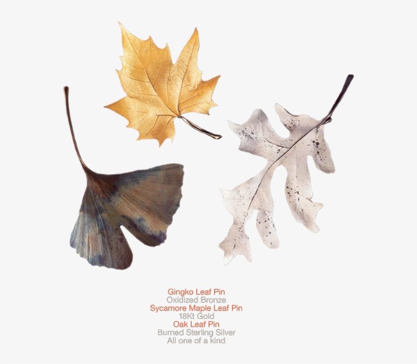 Leaf, transparent png #3878732