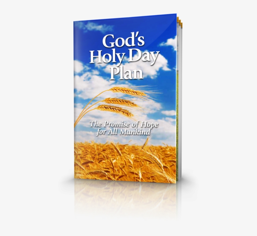 God's Holy Day Plan: The Promise Of Hope For All Mankind, transparent png #3879043