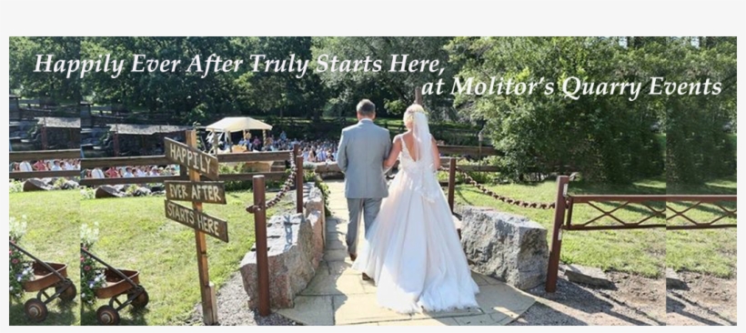 Weddings - Bride, transparent png #3880609