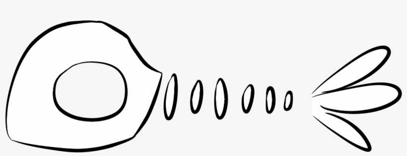 Fishbone - Wiki, transparent png #3880887