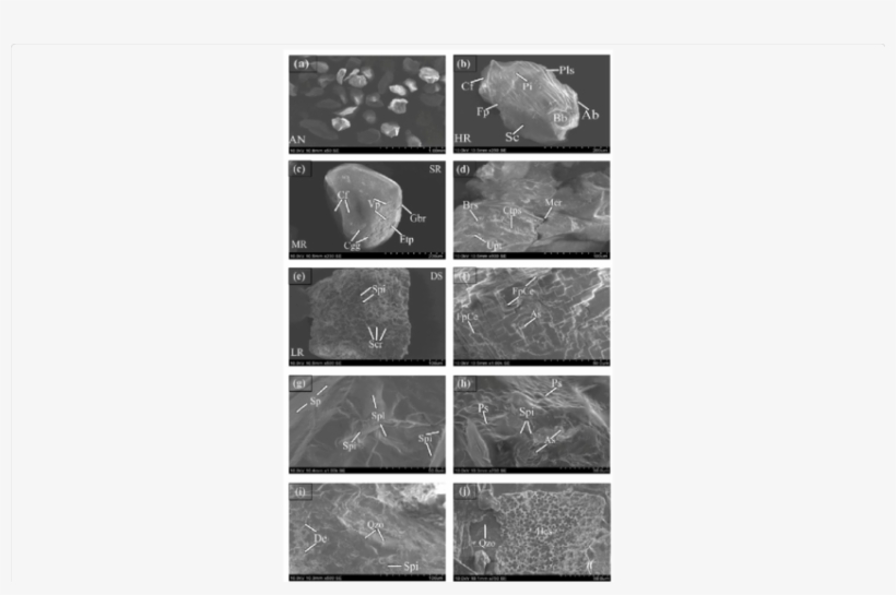 3a And 3b) Grain Exhibits Angular (an), High Relief - Figs, transparent png #3881294