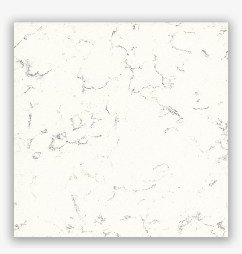 Coarsecarrarads - Sketch, transparent png #3881622