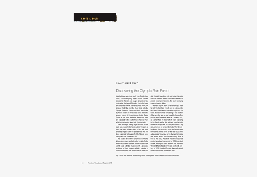 Folio Eighteen From Burchard Of Sion's De Locis Ac, transparent png #3883492