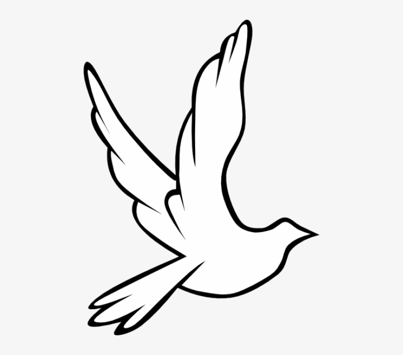 Drawn Turtle Dove - Black And White Flying Birds, transparent png #3883513