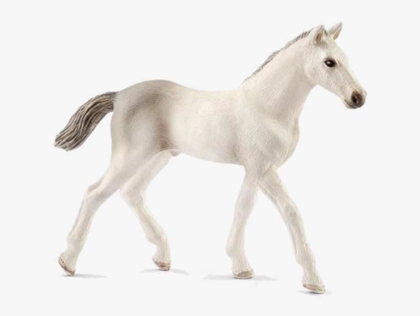 Schleich Foal, transparent png #3883724