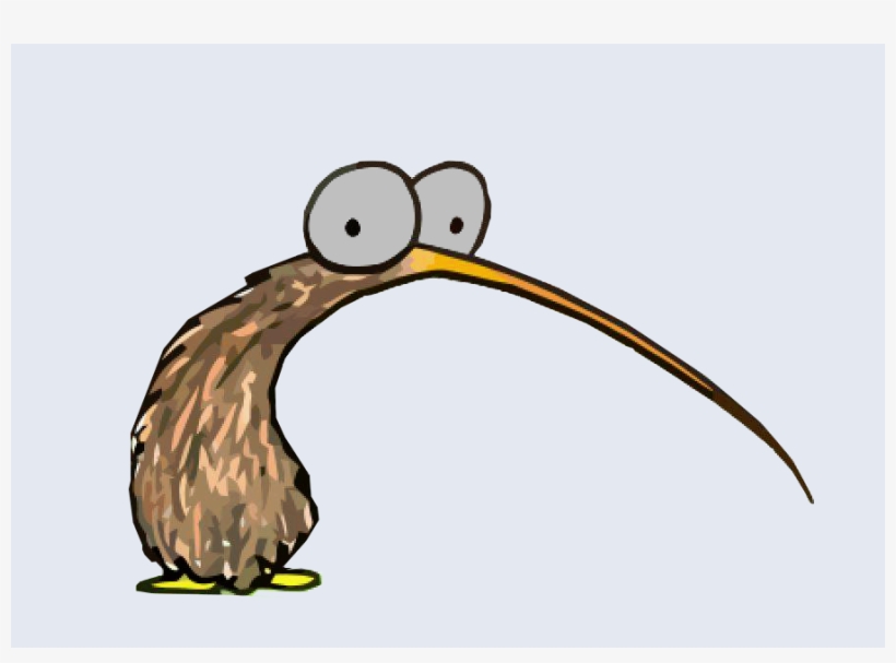 Derpy Kiwi Bird, transparent png #3884000