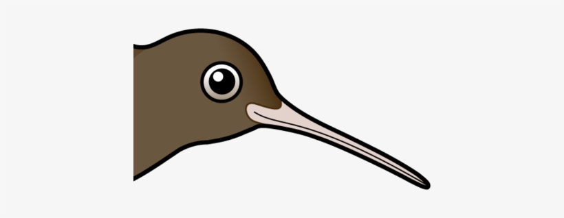 About The Brown Kiwi - Bird Cartoon, transparent png #3884159