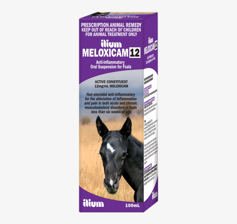 Meloxicam 12 Foal Suspension 100 Ml - Foal, transparent png #3884218