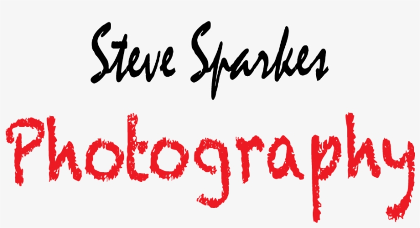 Steve Sparkes - Thought + Feeling + Action = Results Throw Blanket, transparent png #3884401