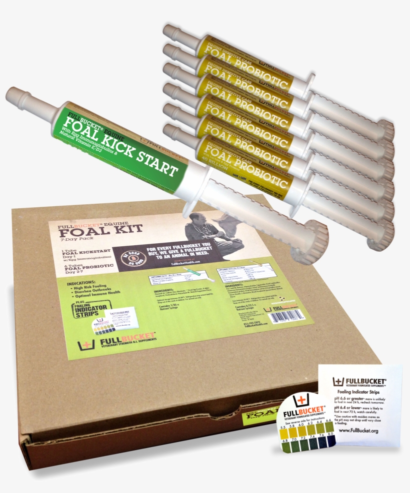 Foal Bucket, transparent png #3884441
