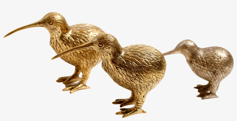 More Views - Duck, transparent png #3884494