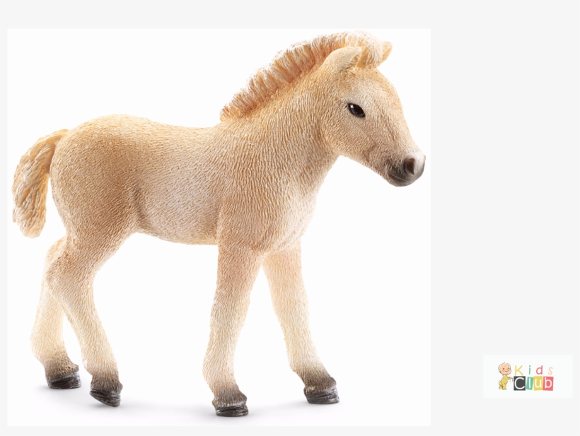 Schleich 13755 - Fjord Horse Foal, transparent png #3884498