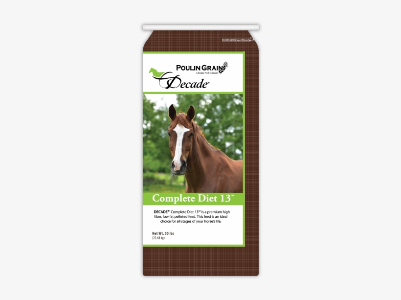 Pferdegesicht Mit Markierung Post-it Klebezettel, transparent png #3884697