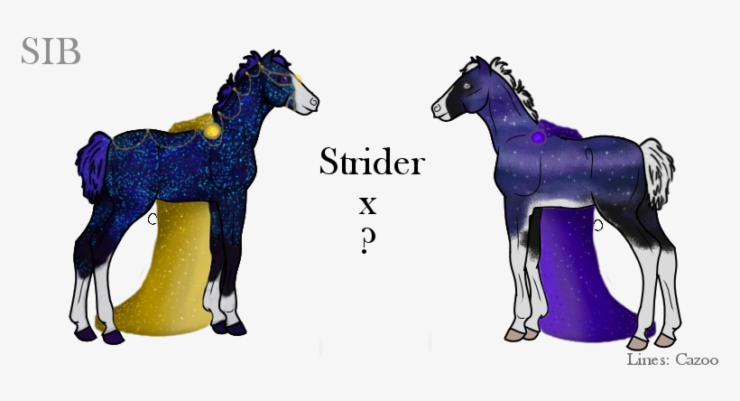 Foal, transparent png #3884789