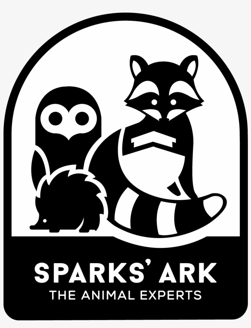 Logo, transparent png #3884896