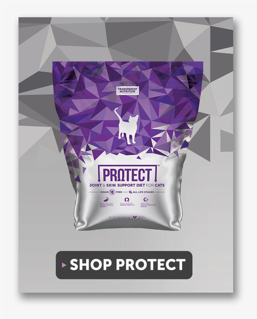 Joint & Skin Support For Cats - Low-fat Diet, transparent png #3885601