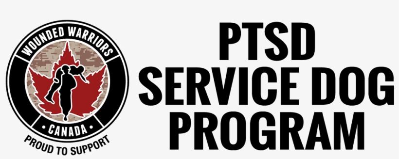 Trauma Resiliency Program Application - Sport Club Internacional, transparent png #3885782