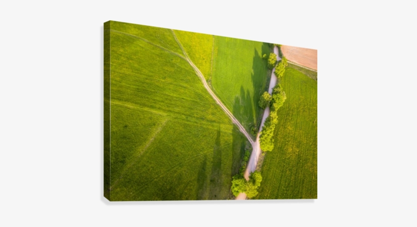 Drone Photo Of The Crossroad Between Trees In Colorful - Field, transparent png #3885978