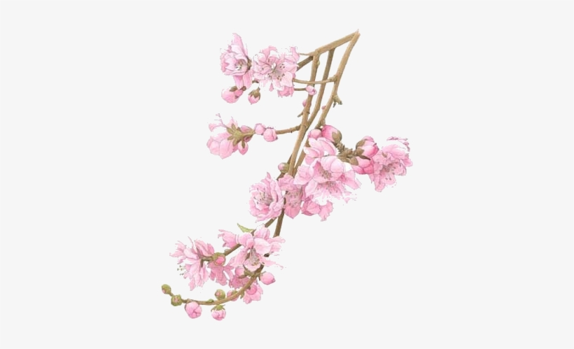 When The Peach Tree Blossomed We Trimmed The Branches - Flower Tree Branch Png, transparent png #3887428