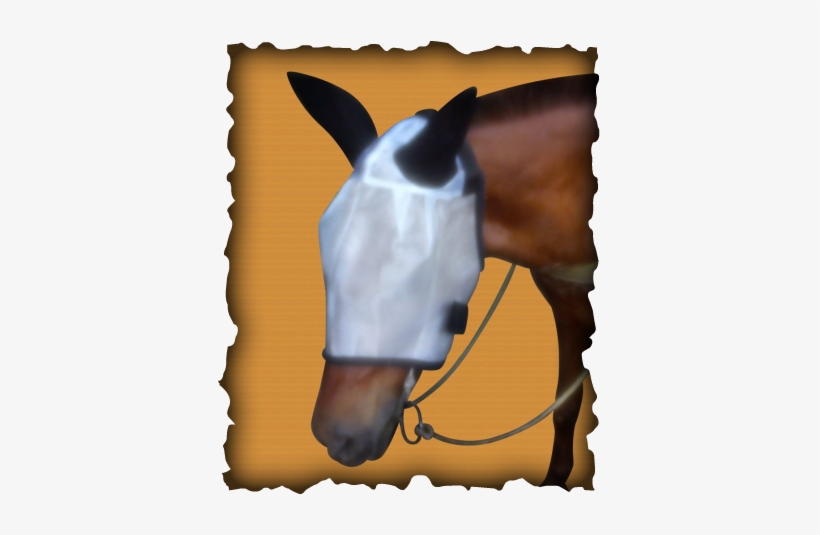 Fly Mask Article - Blog, transparent png #3887466